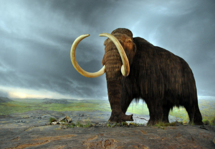 BIO_Unit_6_Cover_Picture