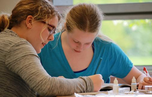 Classroom students with lab activity.