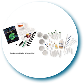 Image-Mar-04-2026-06-14-17-2326-PM