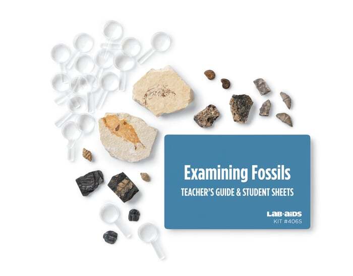 Examining Fossils