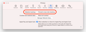 Safari 13.1 and Canvas_Image 2