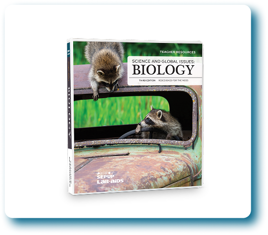 Image-Feb-17-2026-04-28-33-2280-PM