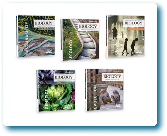 Image-Feb-17-2026-04-29-26-3904-PM