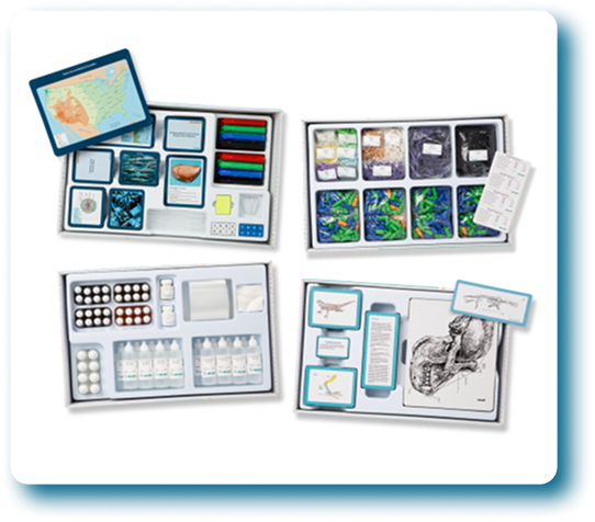 Image-Feb-17-2026-04-30-20-1339-PM