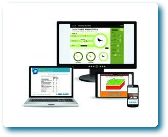 Image-Feb-17-2026-04-31-09-9801-PM