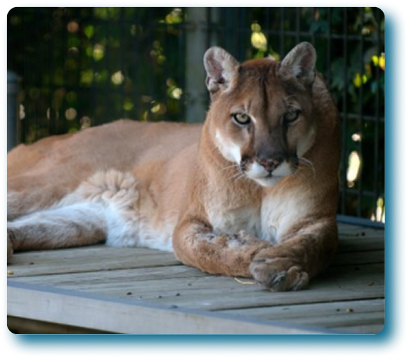 Image-Feb-24-2026-05-02-39-7337-PM