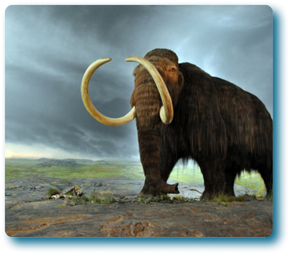 Image-Feb-24-2026-05-14-18-3492-PM