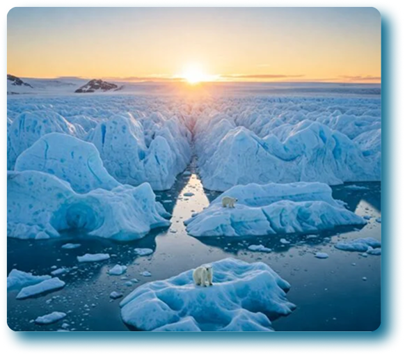 Image-Feb-24-2026-05-24-11-1371-PM