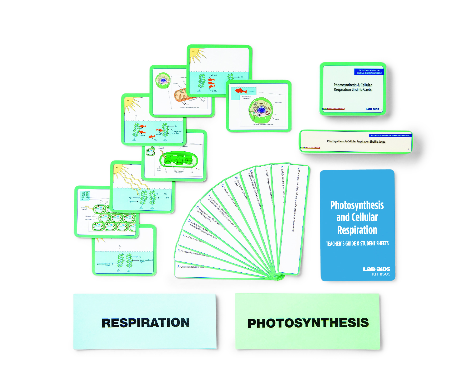 Kit #30S Photosynthesis and Cellular Respiration