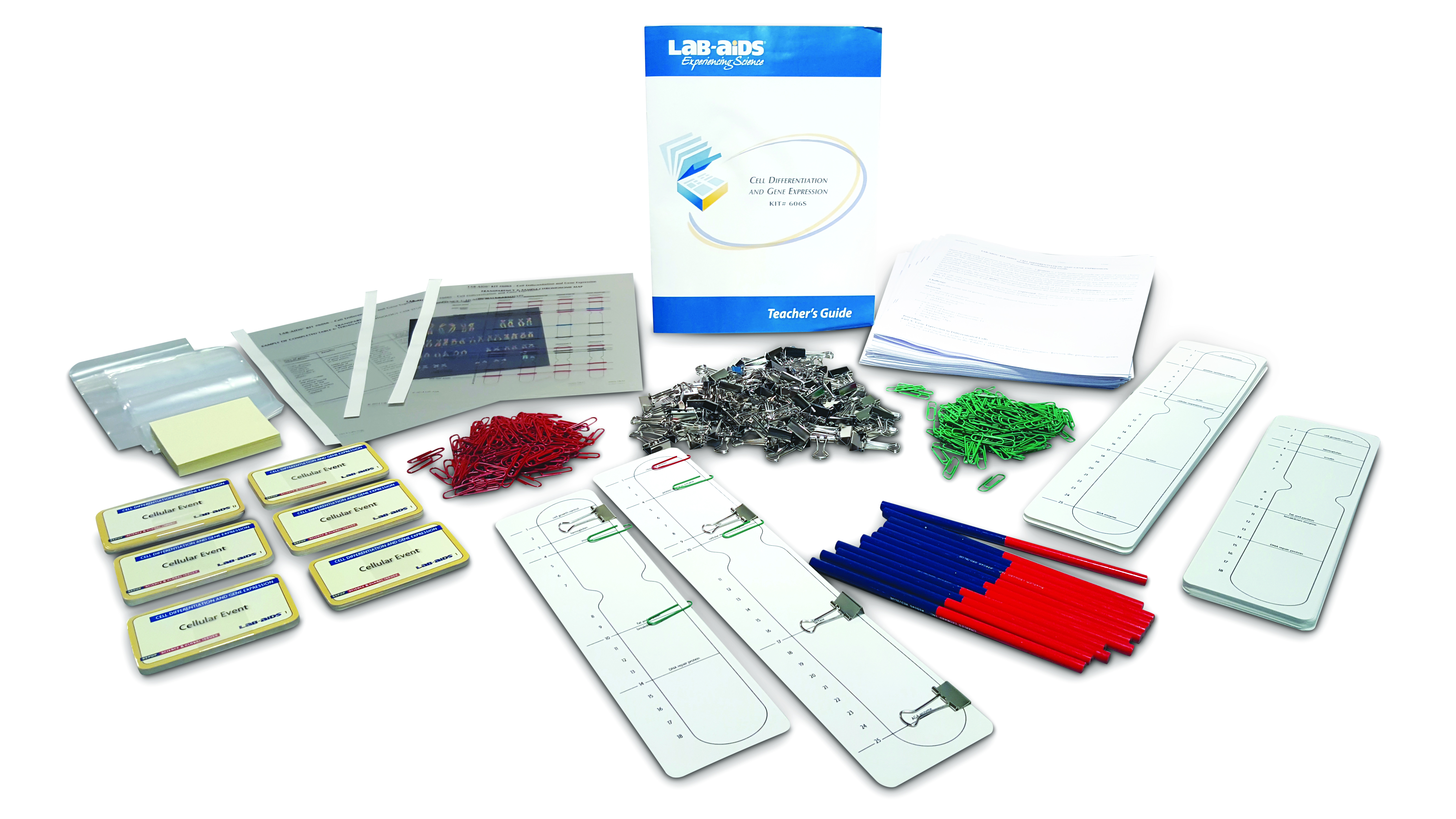 Kit #606S Cell Differentiation and Gene Expression