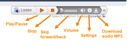 Pause, Play, Stop, Settings, Skip forward/backward, Download