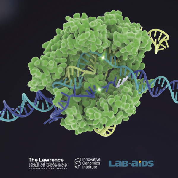 Image of Cas9-RNA complex cutting the double strands of DNA 