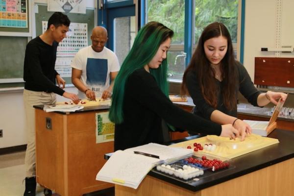 pairs of students working on NAC investigation
