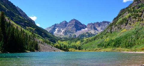 Marron Bells