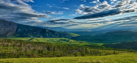 foothills of the Rockies in summer