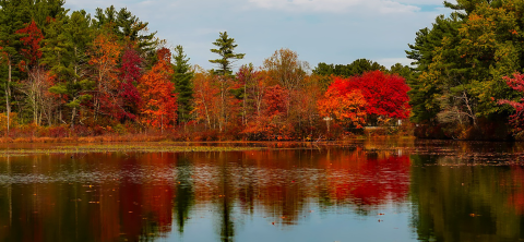 Massachusetts State Banner Image