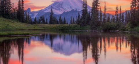 Mount Rainier in the sunset