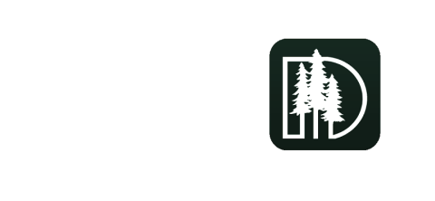 DD logo banner
